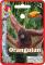 ORANGUTAN - GLASFIRMA - DIVERS 20X16mm 1X25mm (FACE)